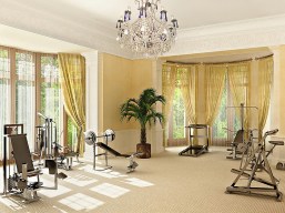 celeb home gym