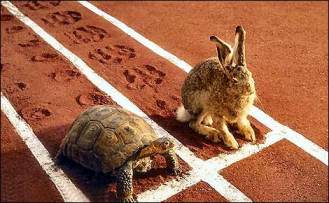 tortoise-and-the-hare