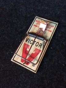 mouse trap