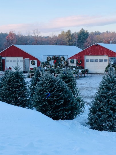 christmas farm