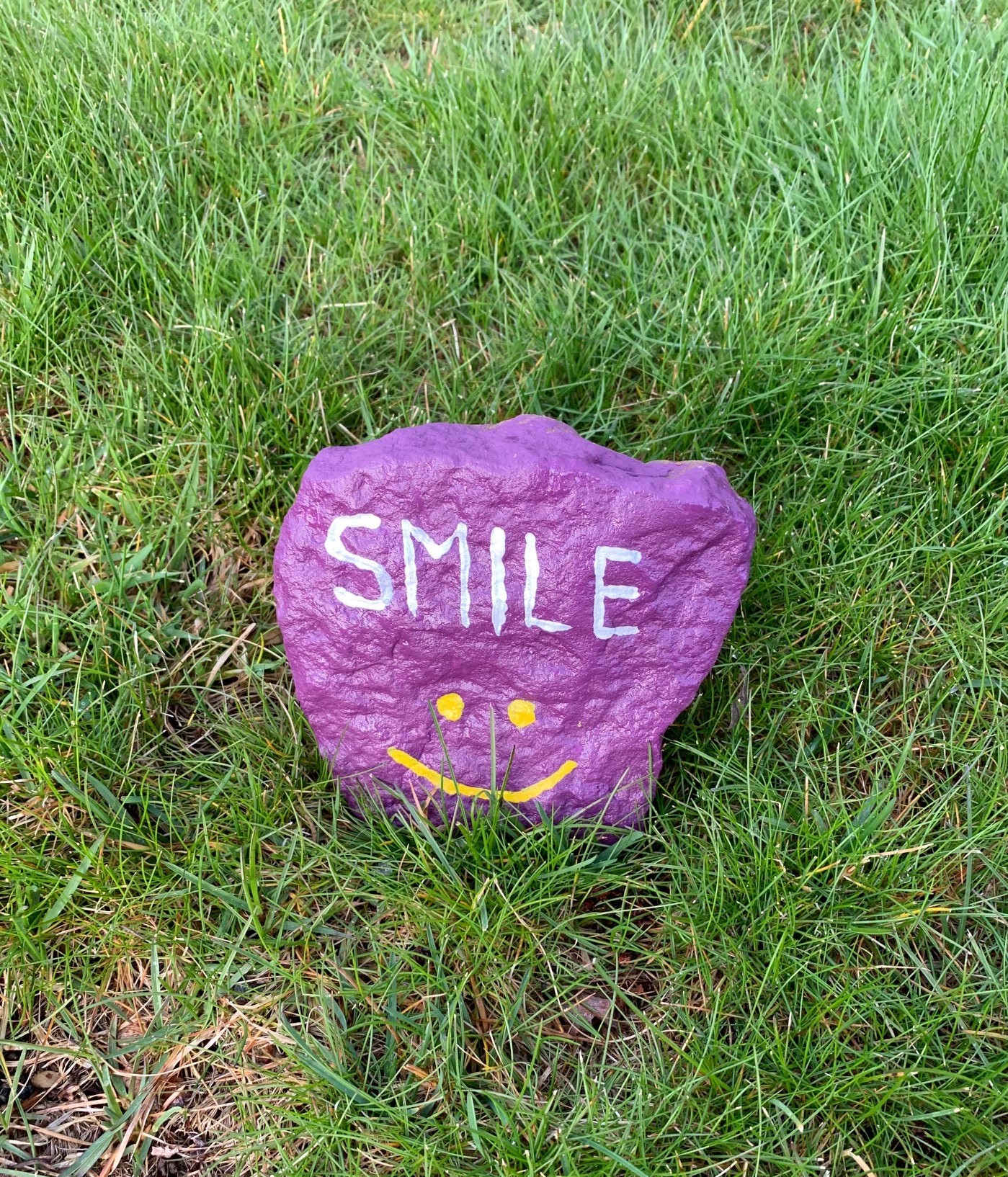 painted rock1